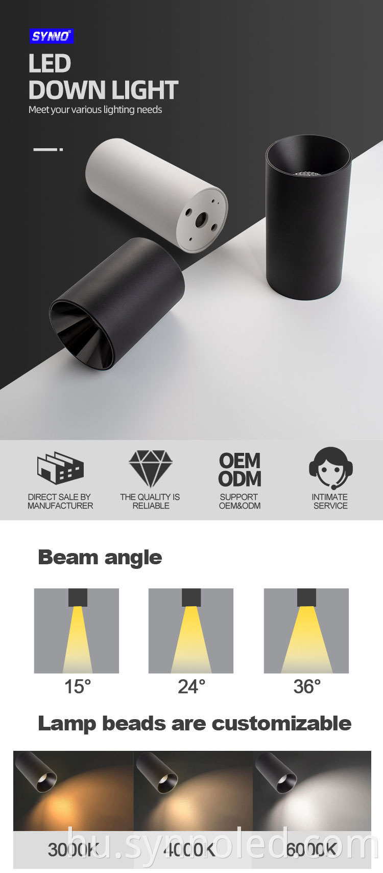 Surface Mounted Downlight
